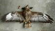 Buse variable