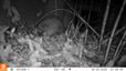 Portes ouvertes