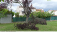 Dégâts de tempête