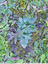 Rosette plate
