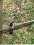 oiseau