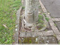 Racines au carré