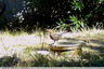 Visiteur coloré
