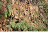 If mourant