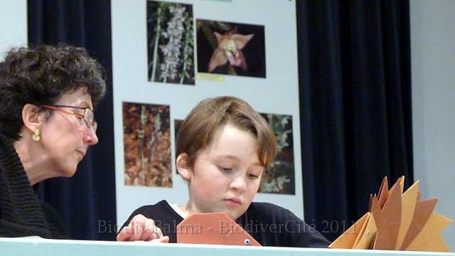 P1050680.JPG - Origami - animation : Marie-Hélène Prel