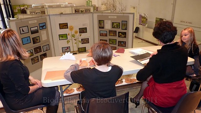 P1050689.JPG - Origami - animation : Marie-Hélène Prel