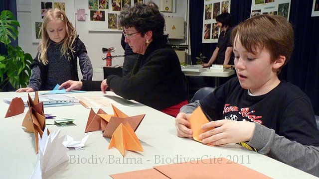 P1050695.JPG - Origami - animation : Marie-Hélène Prel