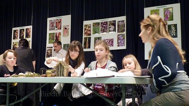 P1050702.JPG - L'atelier de dessin  d'observation - animation : Isabelle Haas