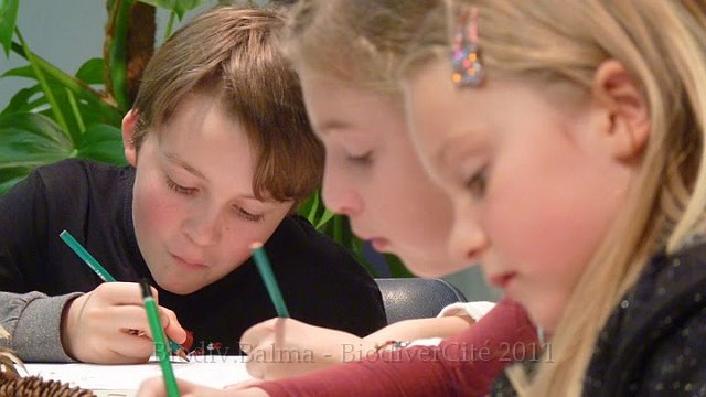 P1050722.JPG - L'atelier de dessin  d'observation - animation : Isabelle Haas