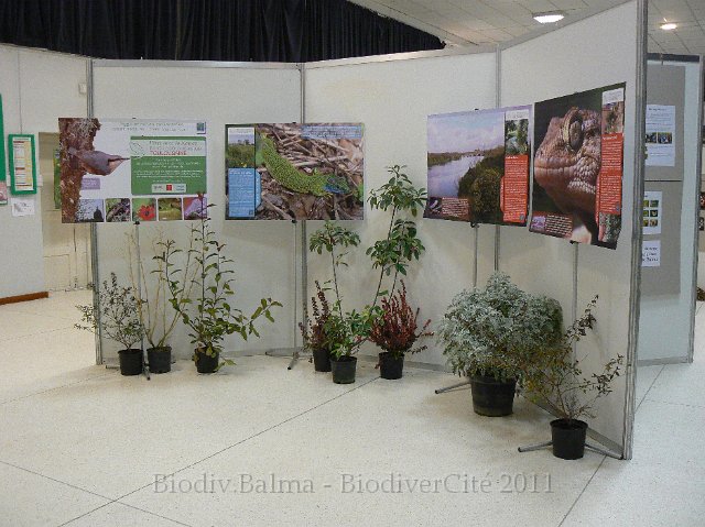P1210279.JPG - Panneaux de Nature Midi-Pyrénées sur la nature dans le Grand Toulouse