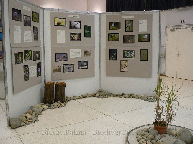 P1210286.JPG - Les milieux humides