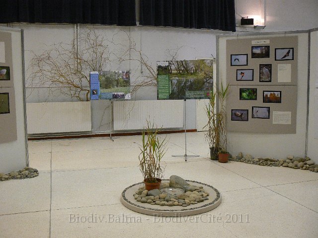 P1210287.JPG - Les milieux humides