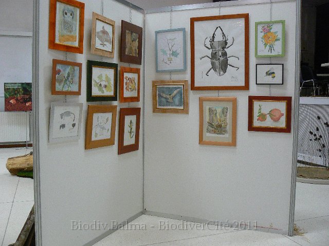 P1210296.JPG - Le regard des enfants - Atelier d'Isabelle Haas