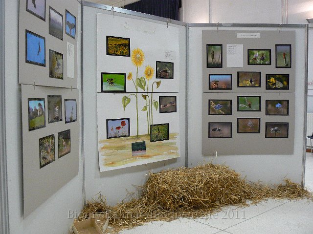 P1210297.JPG - Les terres cultivées