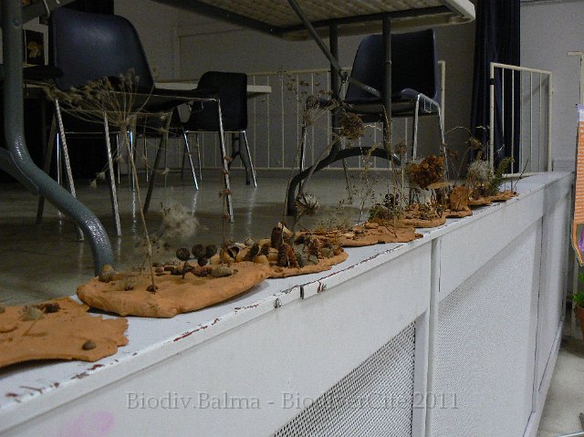 P1210299.JPG - Les travaux des tous petits avec Sarah Luquet