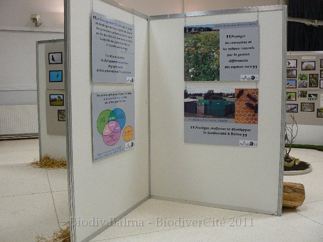 P1210300.JPG - Présentation de l'agenda 21