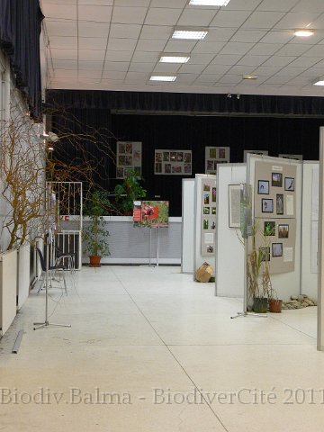 P1210350.JPG - Vue d'ensemble