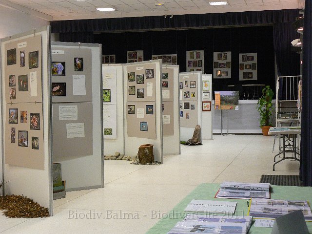 P1210351.JPG - Vue d'ensemble