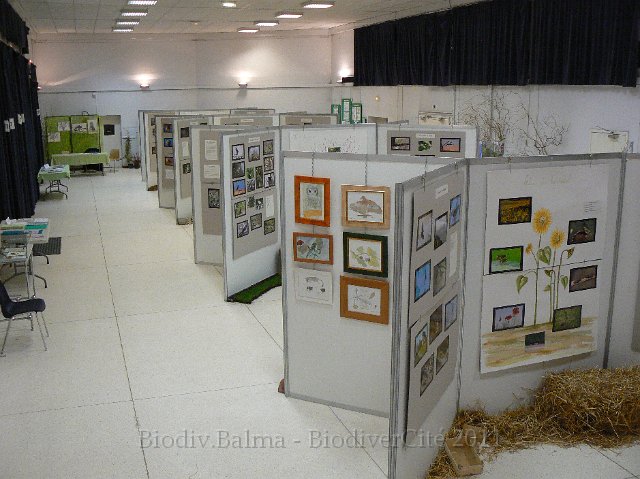 P1210355.JPG - Vue d'ensemble