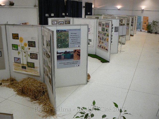 P1210357.JPG - Vue d'ensemble