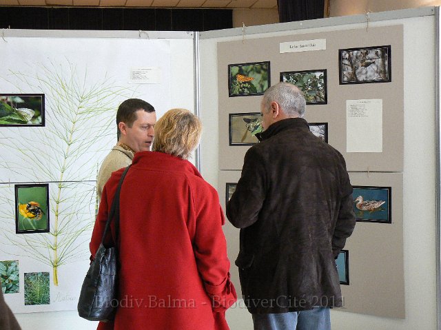 P1210364.JPG - Visite de l'exposition avec M le Maire et Thérèse Pichon