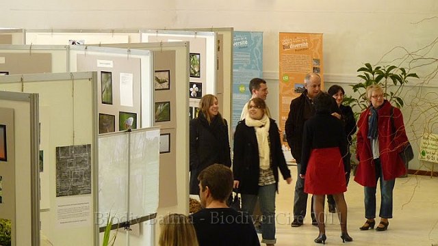 P1050639.JPG - Les premiers pas dans l'exposition  - Photo : Pascal Prel.