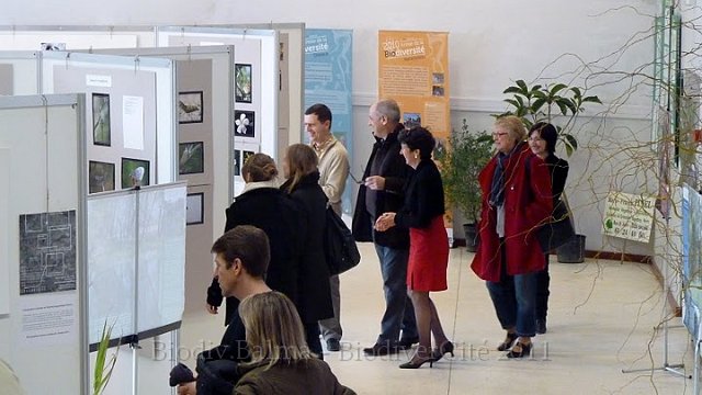 P1050640.JPG - Visite guidée pour les élus qui ont soutenu financièrement cette initiative, inscrite à l'Agenda 21 de la commune  - Photo : Pascal Prel.