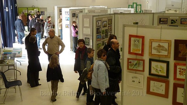 P1050644.JPG - Les allées autour des peintures des enfants qui ont travaillé avec Isabelle Haas des mois en amont de l'exposition   - Photo : Pascal Prel.