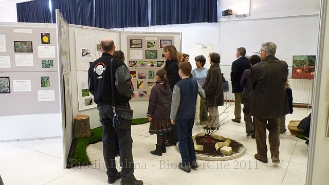 P1050647.JPG - La décoration de chacun des espaces a fait l'objet du plus grand soin : dans les jardins, du vrai gazon qui a poussé pendant l'exposition - Photo : Pascal Prel.