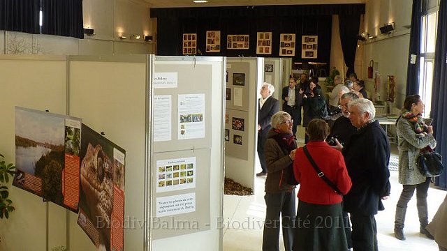 P1050652.JPG - Les panneaaux dédiés à la nature dans le Grand Toulouse élargissent le point de vue balmanais - Photo : Pascal Prel.