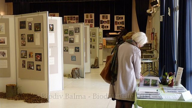 P1050674.JPG - Au delà des photos exposées, plus de 450 observations étaient directement consultables dans des classeurs - Photo : Pascal Prel.
