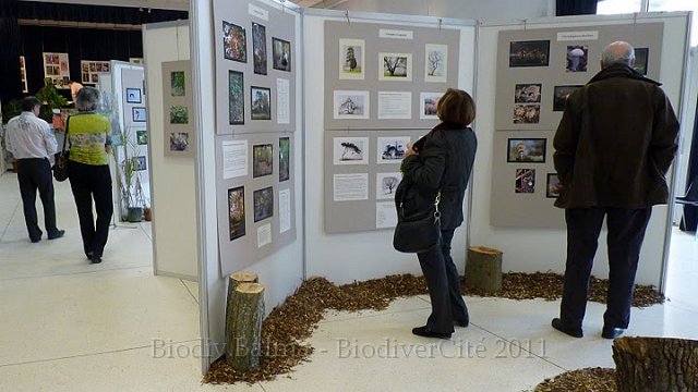 P1050676.JPG - Croquis et peintures offrent des regards complémentaires à celui des photographes - Photo : Pascal Prel.