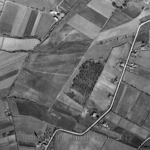 archeveques1946.jpg - Les Archevêques en 1946 - Photo IGN