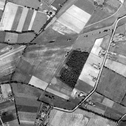 archeveques1954.jpg - Les Archevêques en 1954 - Photo IGN