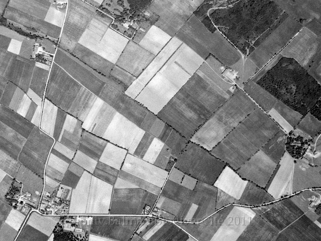 garrigue1954.jpg - Berges de la Garrigue en 1954 - Photo : IGN