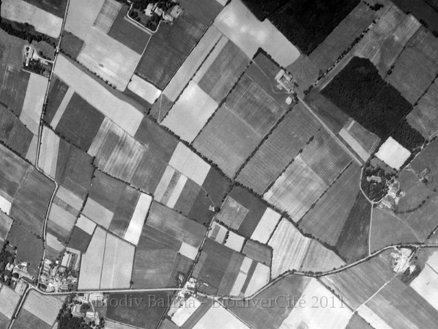 garrigue1960.jpg - Berges de la Garrigue en 1960 - Photo : IGN