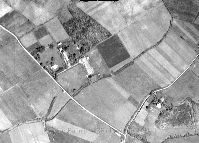 lagarde1946.jpg - Lagarde 1946 - Photo IGNL'usage du bois pour le chauffage en période de guerre a éclairci le massif.