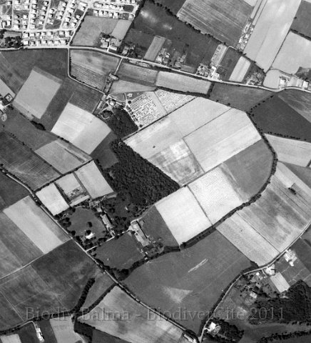 lagarde1960.jpg - Lagarde 1960 - Photo IGNLe clos St Pierre est maintenant construit. Le corps de ferme de Lagarde est toujours présent.
