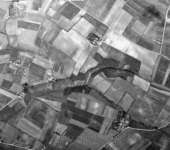 linasse1946.jpg - Berges de la Linasse en 1946 - Photo : IGN