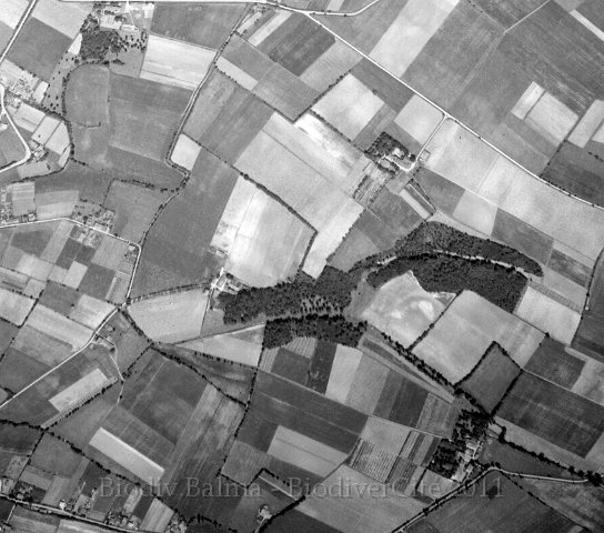 linasse1954.jpg - Berges de la Linasse en 1954 - Photo : IGN