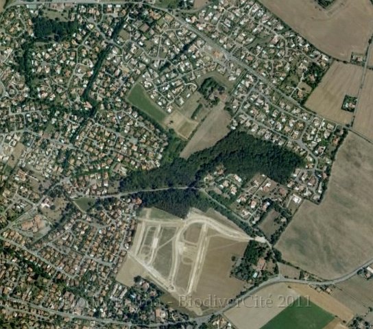 linasse2006.jpg - Berges de la Linasse en 2006 - Photo : Géoportail