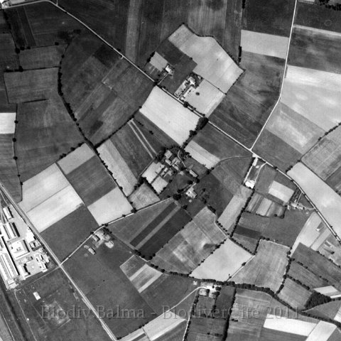 vidailhan1960.jpg - Vidailhan en 1960 - Photo : IGN