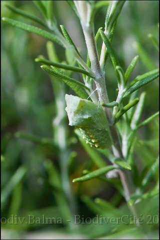 4_metamorphose_interieure.jpg - Métamorphose intérieure - Photo : François Granja