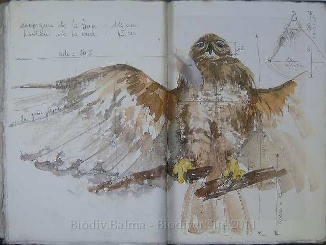 carnet_nature_030.jpg - Création : Isabelle Haas