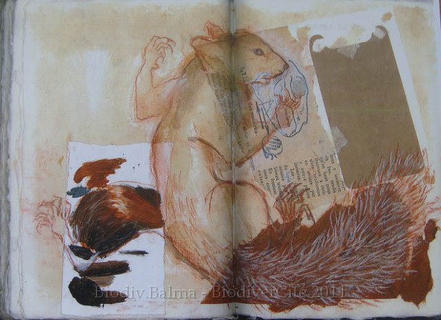 carnet_nature_057.jpg - Création : Isabelle Haas